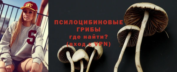 ECSTASY Гусиноозёрск