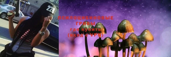 MESCALINE Гусь-Хрустальный
