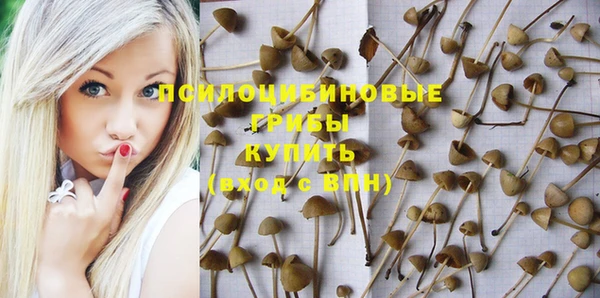 мдма Гусев