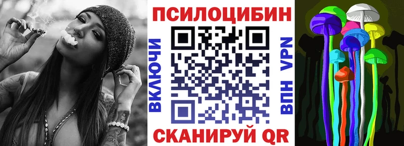 закладка  Пестово  дарк нет как зайти  Галлюциногенные грибы мицелий 