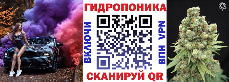 Бошки марихуана MAZAR  darknet состав  Пестово  наркотики 